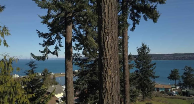  Shipview Ln, Clallam County, WA, 98382