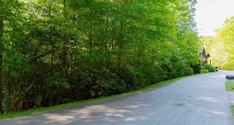 346/708 Blackgum Court Hendersonville NC 28739 Land For Sale