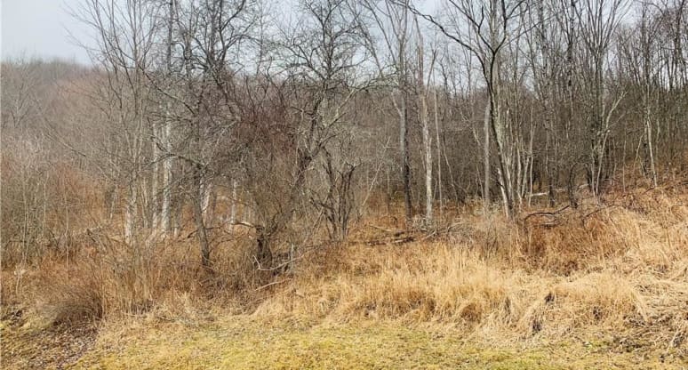 N/A Debruce Road, Livingston Manor, NY, 12758