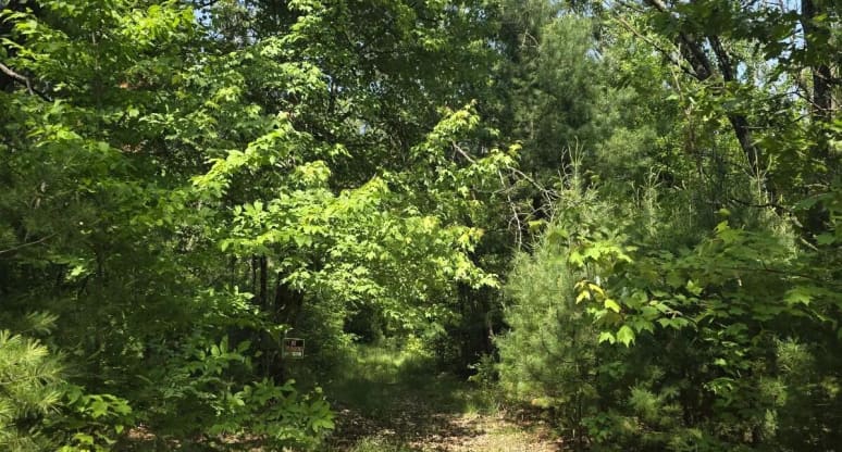  East Michland Path, White Cloud, MI, 49349