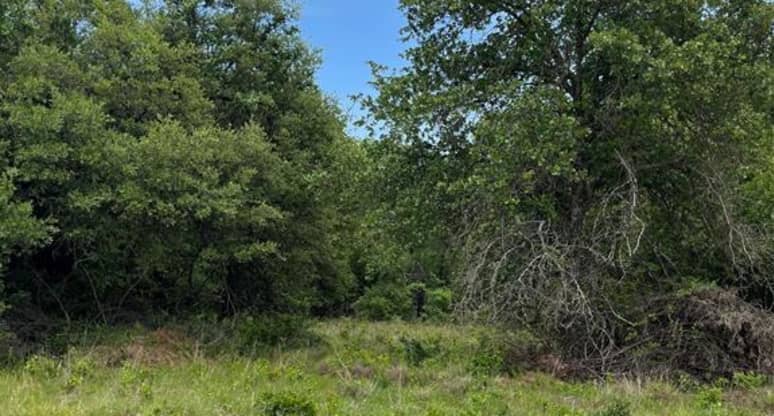 96 Kilkenny Road, Parker County, TX, 76487