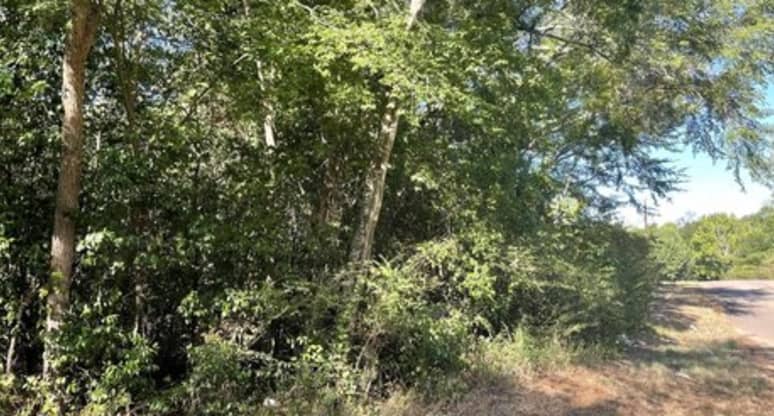 Lot 4/ Grant Avenue, Jacksonville, TX, 75766