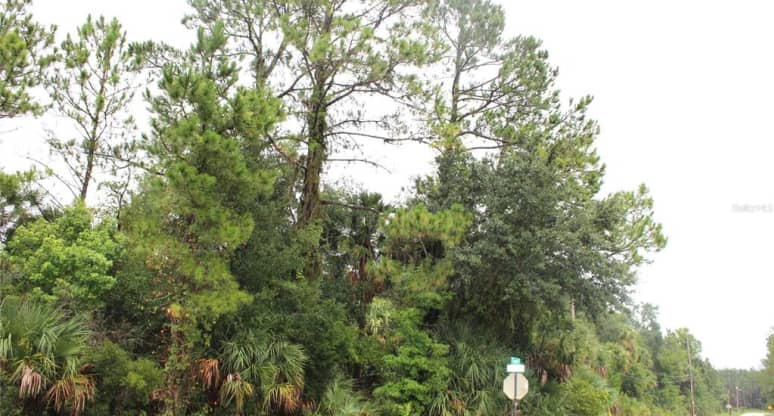  West State Road 40, Pierson, FL, 32180
