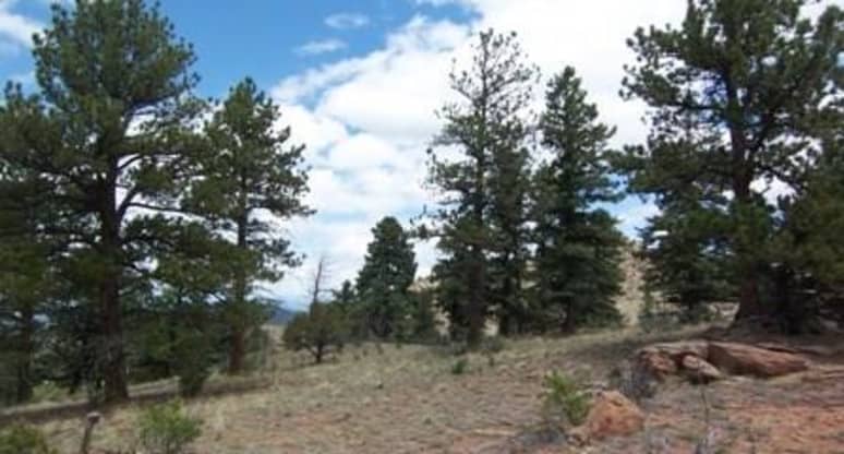 859 Vista De Aspen Rd, Westcliffe, CO, 81252
