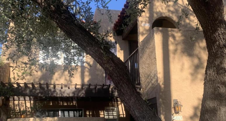 508 North Dodge Boulevard, Tucson, AZ, 85716