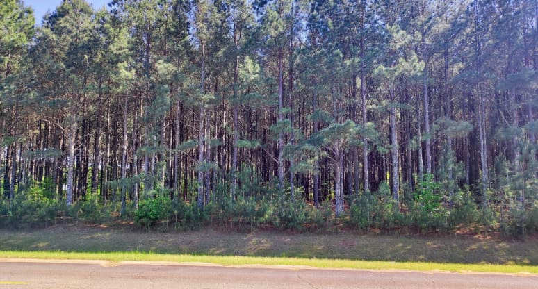  N County Line Rd, Unadilla, GA, 31091
