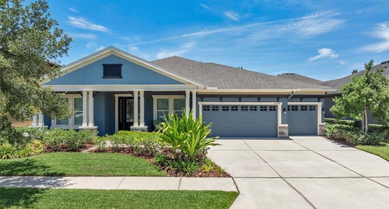 32954 Natural Bridge Road, Wesley Chapel, FL, 33543