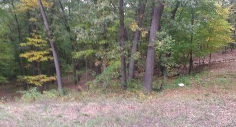 LOT 6/ Vising Dr, Lowell, MI, 49331