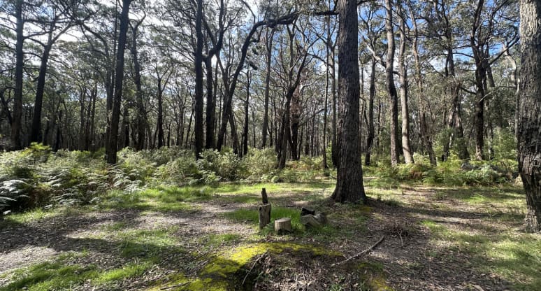 Lot 1/PS 424870E Albert River-Welshpool Road, Binginwarri, VIC, 3966