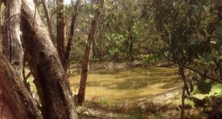 589 Vaughan Springs Rd, Drummond North, VIC, 3446
