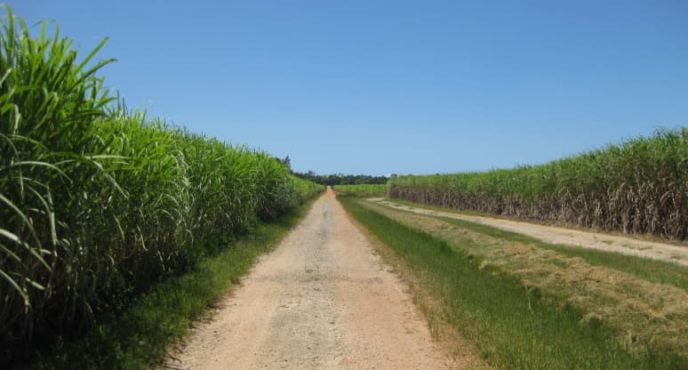  Bilyana Road, Bilyana, QLD, 4854