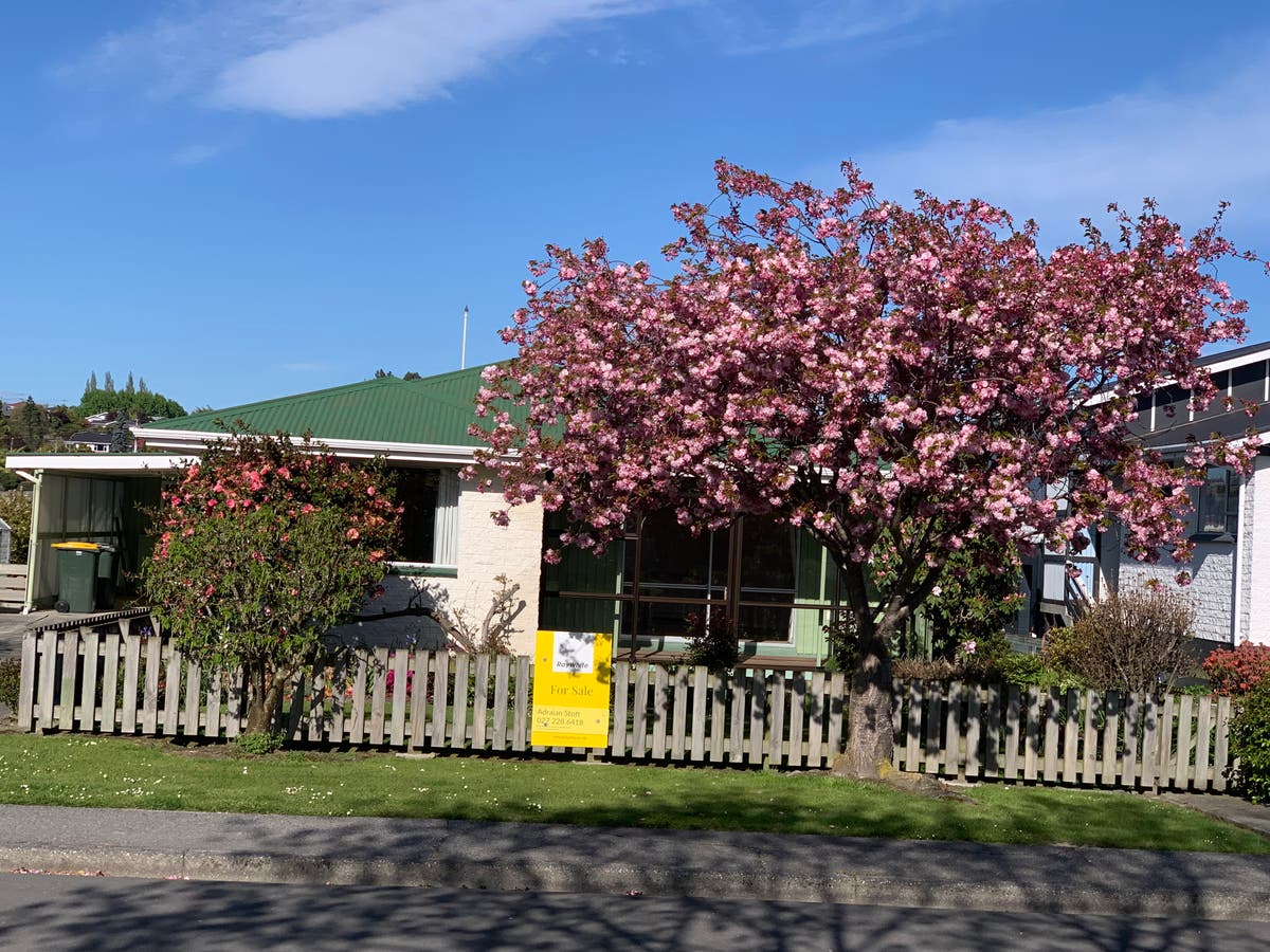 17 Centennial Avenue, Balclutha, Otago Other Sold on 28 10 2022