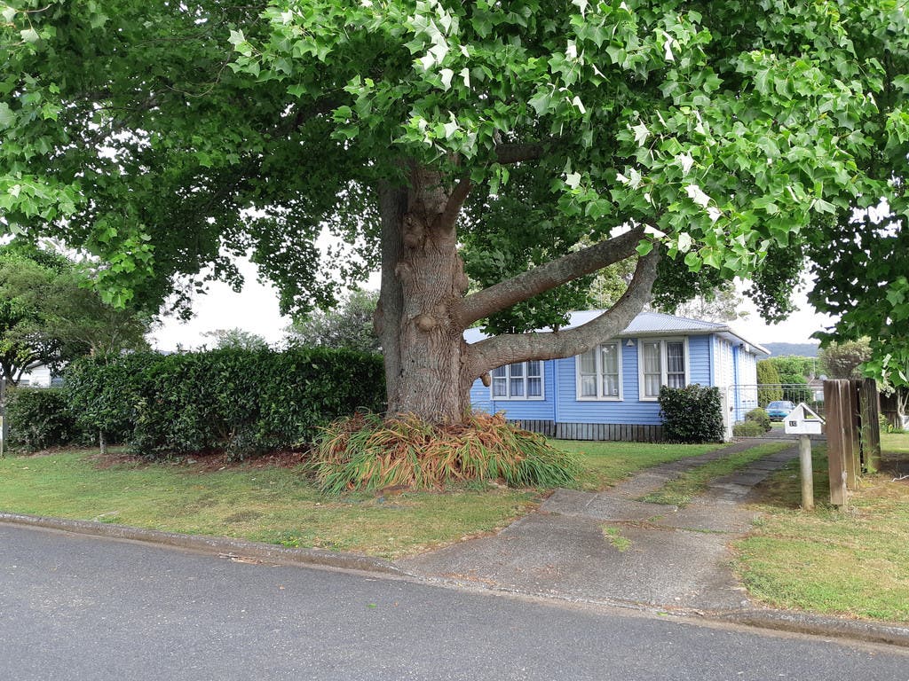 10 Kowhai Ave, Kaikohe, Northland Other Sold on 12 04 2019 RateMyAgent