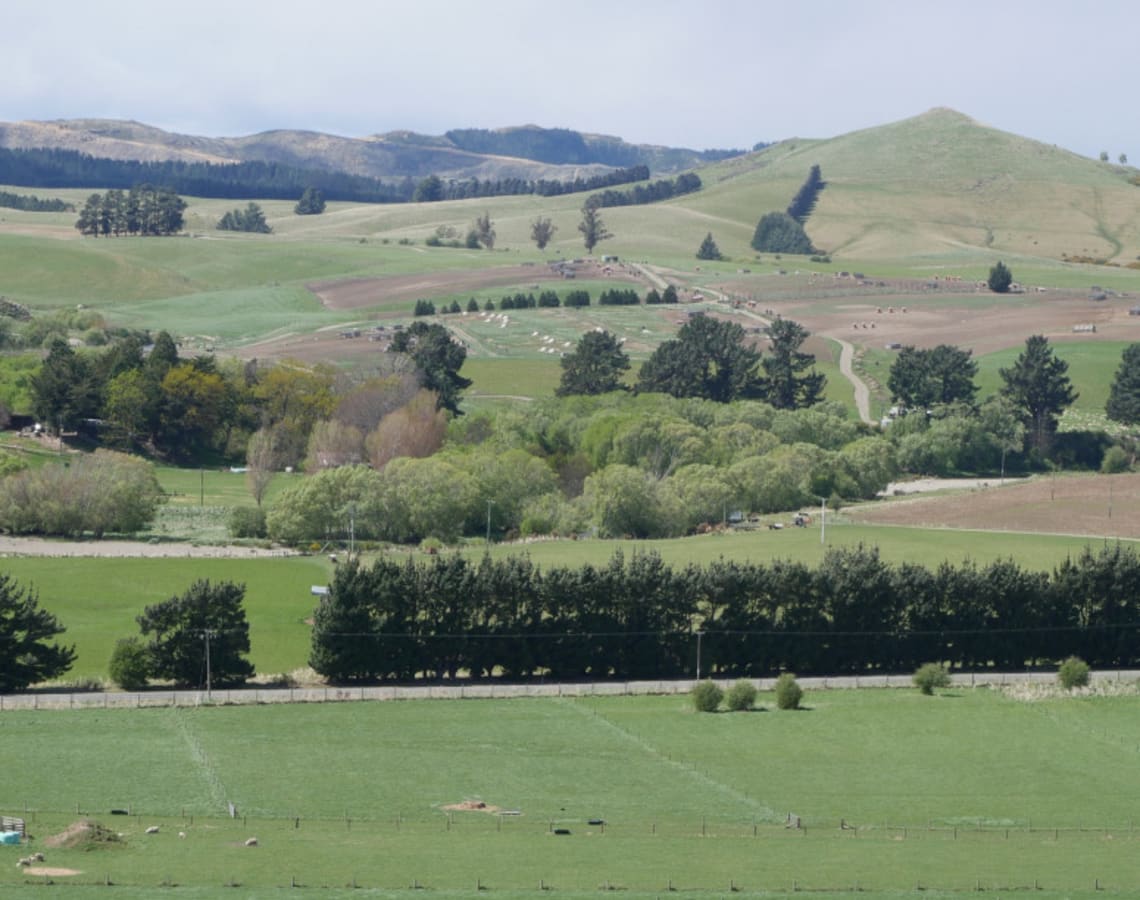 1/445 Dunback Road, Palmerston, Otago, Land Sold on 19 Aug 2020