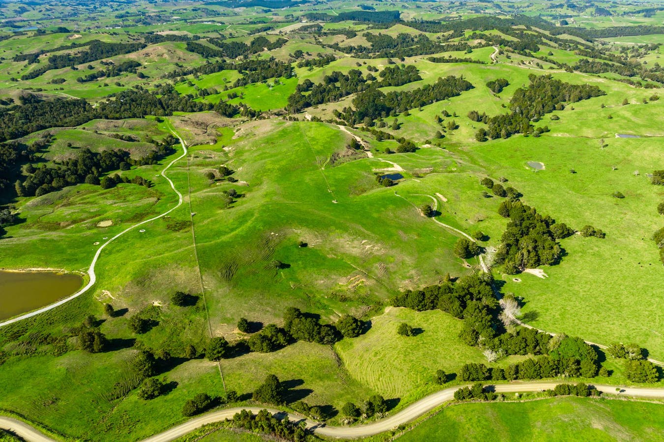 262 Parahi Road, Ruawai, Northland Rural Sold on 14 09 2022 RateMyAgent