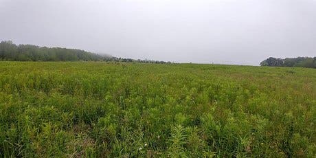 Chicken Coop Rd, Trumansburg, NY, 14886 Land Sold on 29 11 2022