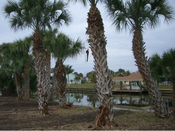 322 Beverly Ct Melbourne Beach FL 32951 Land Sold on 08 05 2015