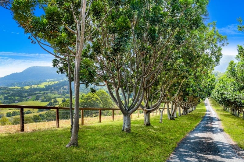 Strongs Rd Jaspers Brush NSW 2535 House Sold on 11 08 2020 RateMyAgent