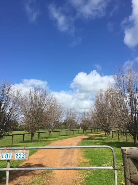 Harvey Western Australia 6220 House Leased on 11 09 2018 RateMyAgent