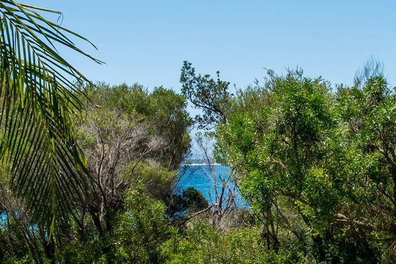 1/16 Ondine Close, Nelson Bay, NSW, 2315 Apartment Sold on 31 08 2016