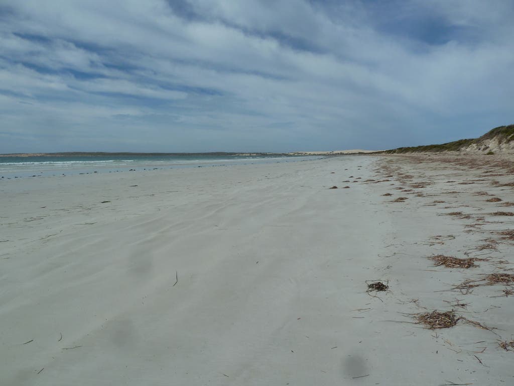 Lot 12 Fowlers Bay Road, Fowlers Bay, SA, 5690 Land Sold on 07 10