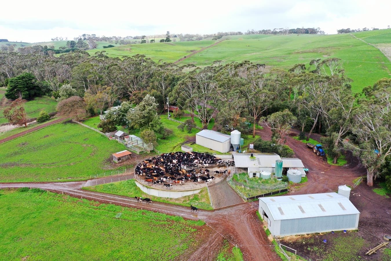 170 CobdenPort Campbell Road, Scotts Creek, VIC, 3267 Rural Sold on