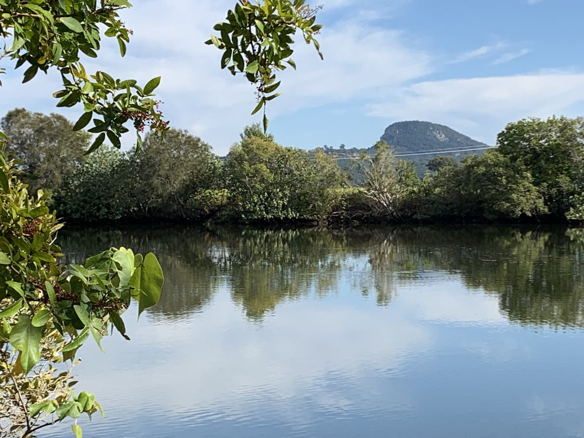 209227 Burtons Road, Maroochy River, QLD, 4561 Rural Sold on 15 11