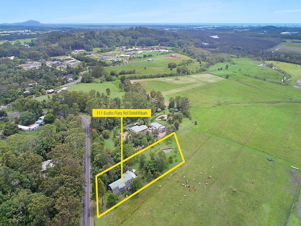 111 Eudlo Flats Road, Diddillibah, QLD, 4559 House Sold on 08 01 2021