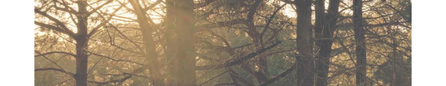 28 reviews for Patrick O'Brien at Ballard Property ...